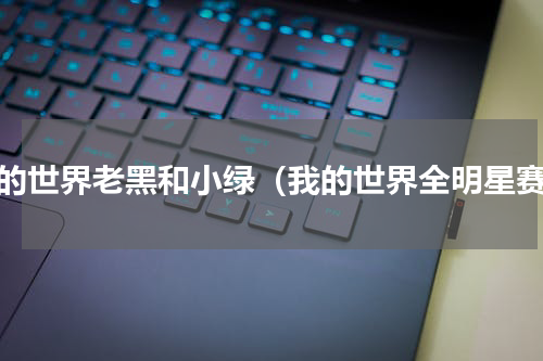 我的世界老黑和小绿（我的世界全明星赛）