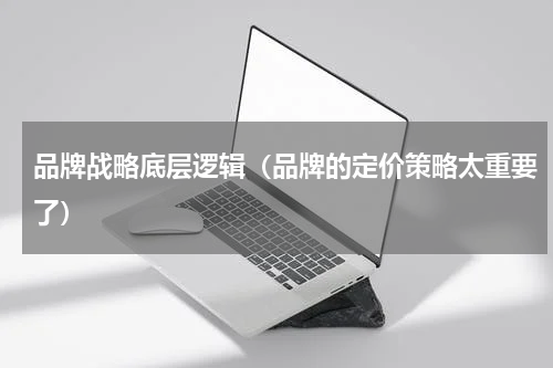 品牌战略底层逻辑（品牌的定价策略太重要了）