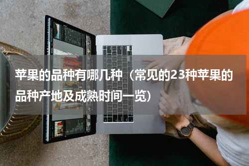 苹果的品种有哪几种（常见的23种苹果的品种产地及成熟时间一览）