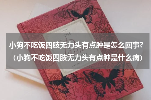 小狗不吃饭四肢无力头有点肿是怎么回事?（小狗不吃饭四肢无力头有点肿是什么病）