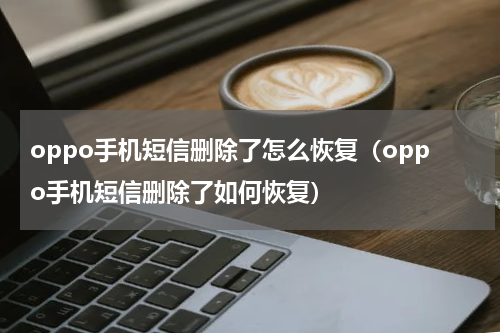 oppo手机短信删除了怎么恢复（oppo手机短信删除了如何恢复）