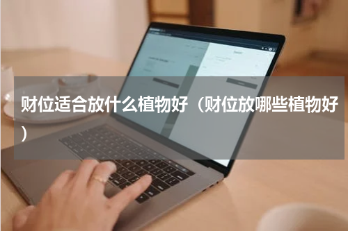 财位适合放什么植物好（财位放哪些植物好）