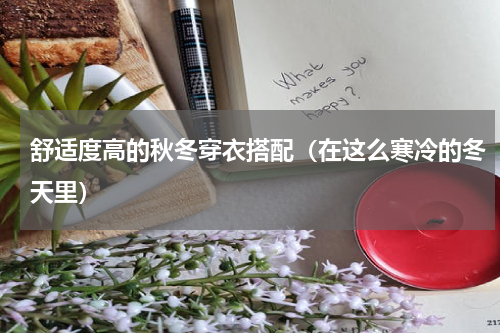 舒适度高的秋冬穿衣搭配（在这么寒冷的冬天里）