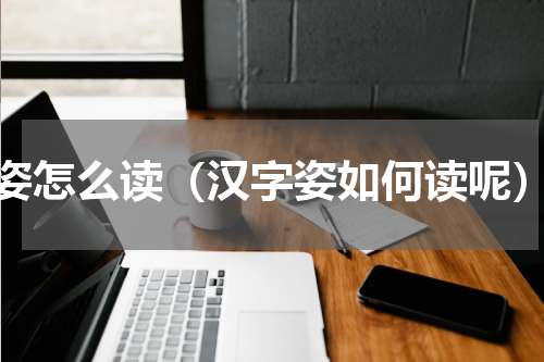 姿怎么读（汉字姿如何读呢）