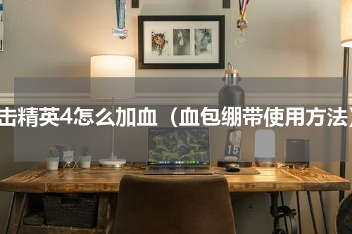 狙击精英4怎么加血（血包绷带使用方法）