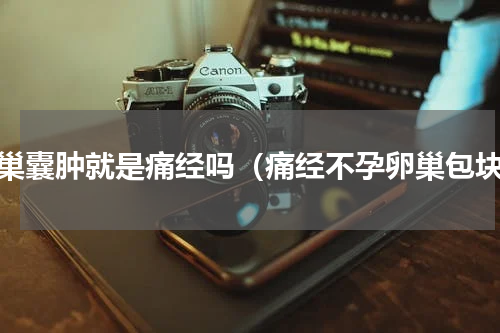 卵巢囊肿就是痛经吗（痛经不孕卵巢包块）