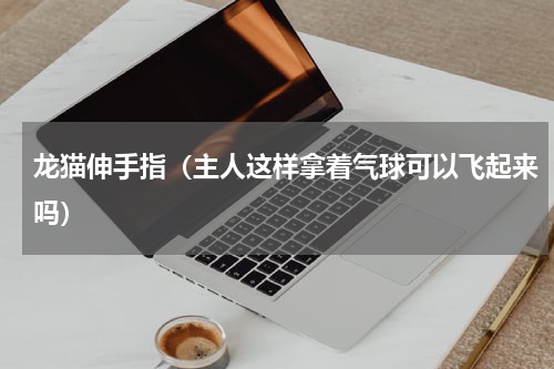 龙猫伸手指（主人这样拿着气球可以飞起来吗）