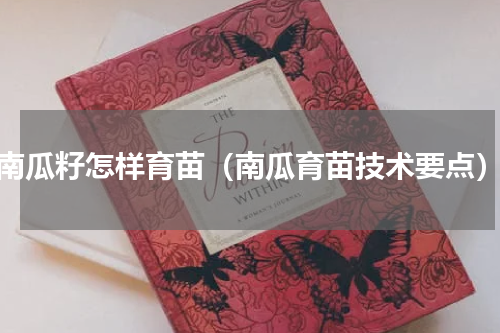南瓜籽怎样育苗（南瓜育苗技术要点）