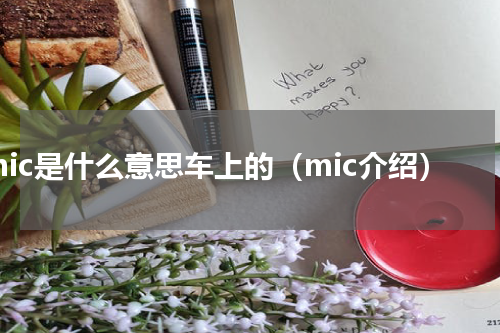 mic是什么意思车上的（mic介绍）