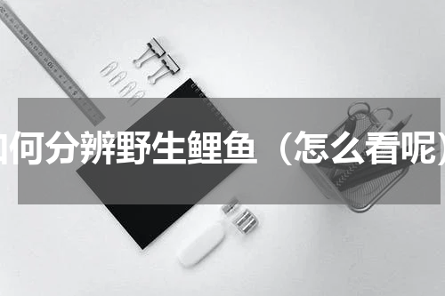 如何分辨野生鲤鱼（怎么看呢）