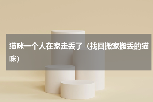 猫咪一个人在家走丢了（找回搬家搬丢的猫咪）