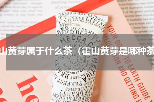 霍山黄芽属于什么茶（霍山黄芽是哪种茶）