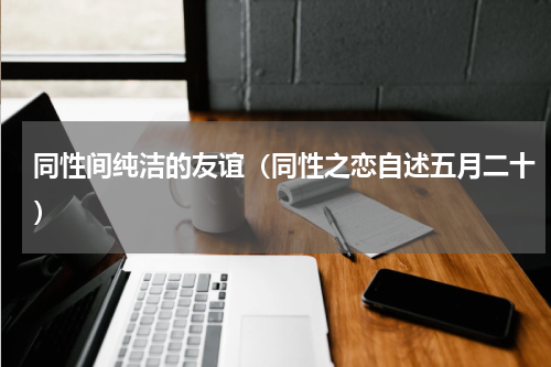 同性间纯洁的友谊（同性之恋自述五月二十）