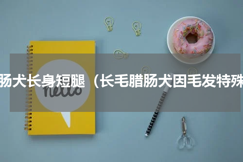 腊肠犬长身短腿（长毛腊肠犬因毛发特殊）