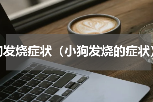 狗发烧症状（小狗发烧的症状）