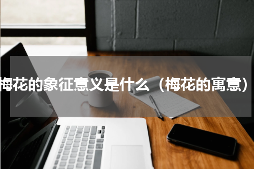 梅花的象征意义是什么（梅花的寓意）