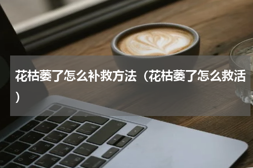 花枯萎了怎么补救方法（花枯萎了怎么救活）
