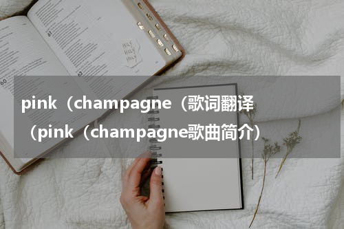 pink（champagne（歌词翻译（pink（champagne歌曲简介）
