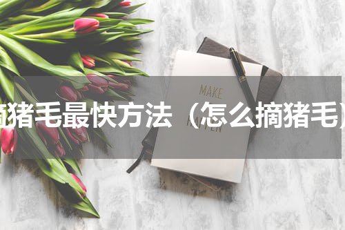 摘猪毛最快方法（怎么摘猪毛）