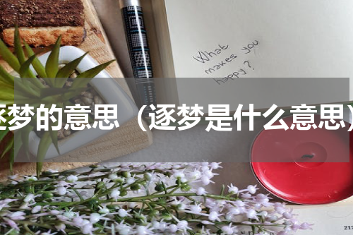 逐梦的意思（逐梦是什么意思）