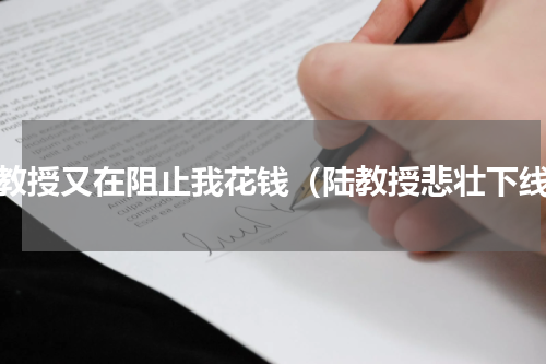 陆教授又在阻止我花钱（陆教授悲壮下线）