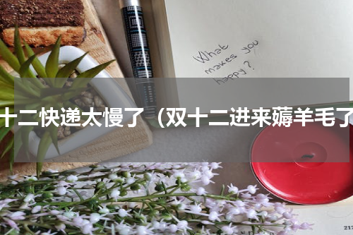 双十二快递太慢了（双十二进来薅羊毛了）