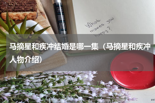 马摘星和疾冲结婚是哪一集（马摘星和疾冲人物介绍）
