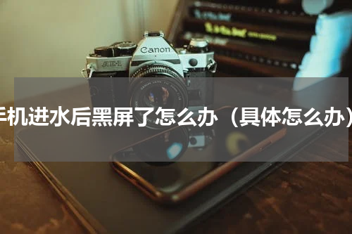 手机进水后黑屏了怎么办（具体怎么办）