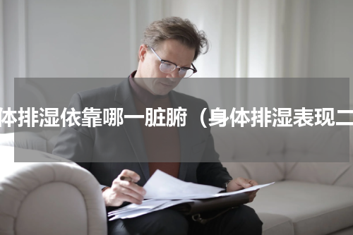 人体排湿依靠哪一脏腑（身体排湿表现二）