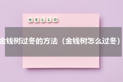 金钱树过冬的方法（金钱树怎么过冬）