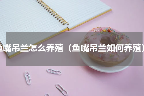 鱼嘴吊兰怎么养殖（鱼嘴吊兰如何养殖）