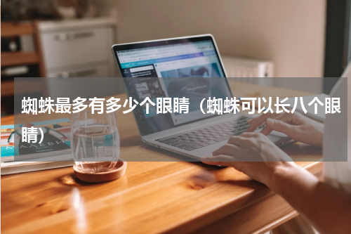 蜘蛛最多有多少个眼睛（蜘蛛可以长八个眼睛）