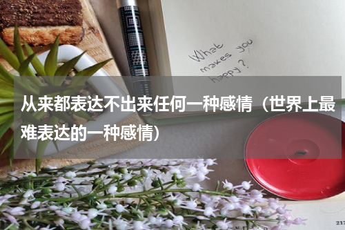 从来都表达不出来任何一种感情（世界上最难表达的一种感情）