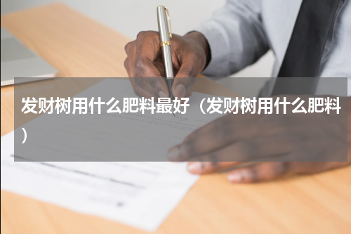 发财树用什么肥料最好（发财树用什么肥料）