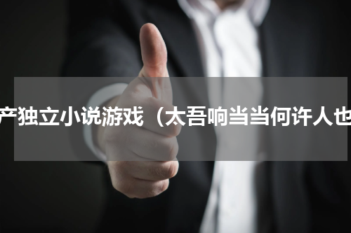 国产独立小说游戏（太吾响当当何许人也）