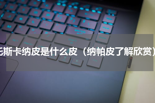 托斯卡纳皮是什么皮（纳帕皮了解欣赏）