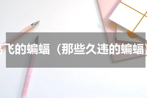 高飞的蝙蝠（那些久违的蝙蝠）