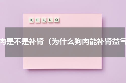 狗肉是不是补肾（为什么狗肉能补肾益气）