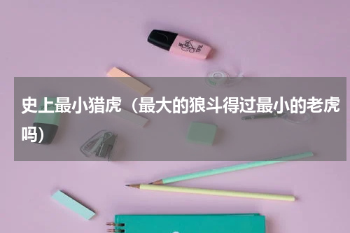 史上最小猎虎（最大的狼斗得过最小的老虎吗）