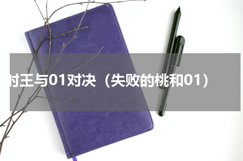 时王与01对决（失败的桃和01）