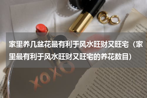 家里养几盆花最有利于风水旺财又旺宅（家里最有利于风水旺财又旺宅的养花数目）