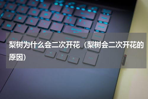 梨树为什么会二次开花（梨树会二次开花的原因）