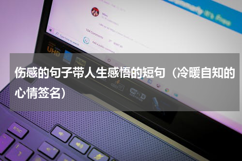 伤感的句子带人生感悟的短句（冷暖自知的心情签名）