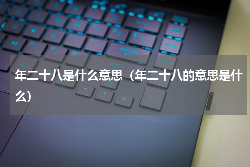 年二十八是什么意思（年二十八的意思是什么）