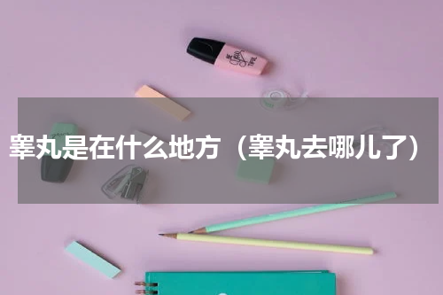 睾丸是在什么地方（睾丸去哪儿了）