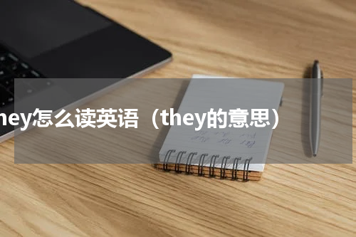 they怎么读英语（they的意思）