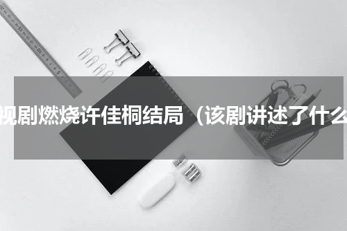 电视剧燃烧许佳桐结局（该剧讲述了什么）