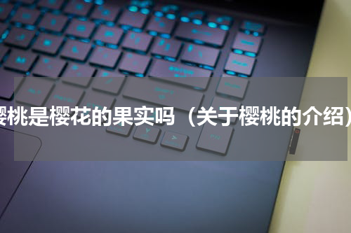 樱桃是樱花的果实吗（关于樱桃的介绍）