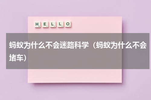 蚂蚁为什么不会迷路科学（蚂蚁为什么不会堵车）