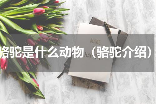 骆驼是什么动物（骆驼介绍）